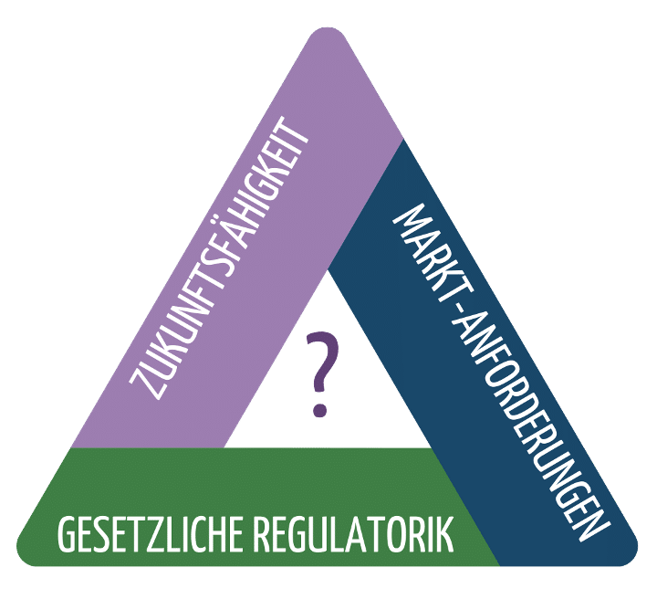 3 motivating factors (future viability, market requirements, legal regulation) form a triangle with a question mark in the middle